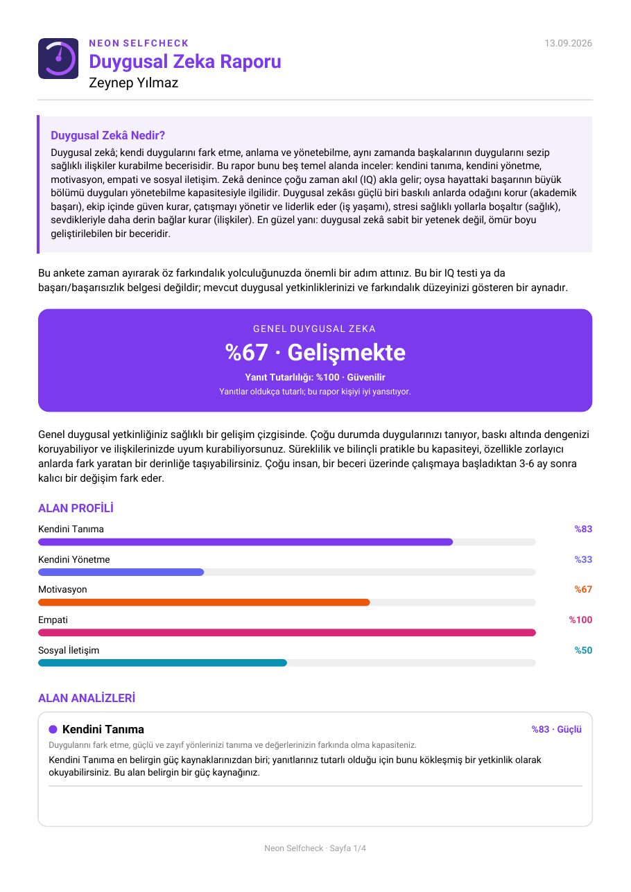 Örnek kişiye özel duygusal zekâ raporu sayfası